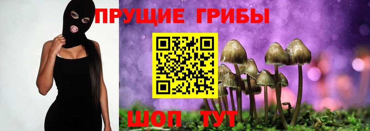 Магнитогорск  Галлюциногенные грибы прущие грибы  Вход с VPN  Галлюциногенные грибы ЛСД 